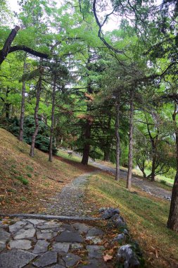 Parkın yamacındaki taş merdiven.