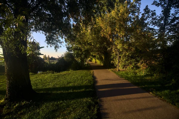 Caminho Pavimentado Parque Beira Lago Pôr Sol — Fotografia de Stock