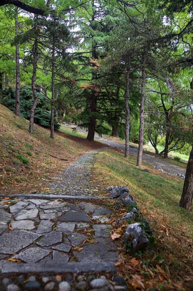Stone staircase by the edge of a slope in a park