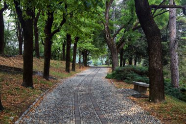 Bulutlu bir günde, bir parkın ağaç tepe örtüsünün altında, kenarında taş banklar olan bir patika.