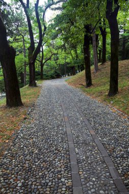 Bir parktaki ağaç tepe örtüsünün altında asfalt yol