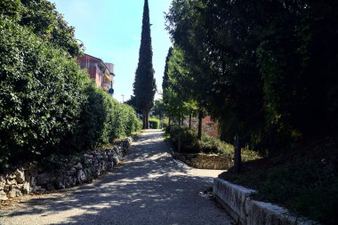 Parkta ağaçlarla çevrili bir patika.