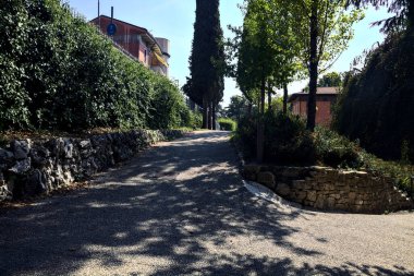 Parkta ağaçlarla çevrili bir patika.