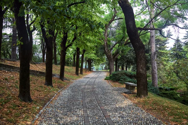 Sendero Pavimentado Bajo Dosel Parque Con Bancos Piedra Junto Borde — Foto de Stock