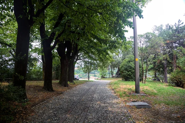 Bulutlu Bir Günde Ağaçlarla Çevrili Bir Parkta Çakıl Yolu — Stok fotoğraf