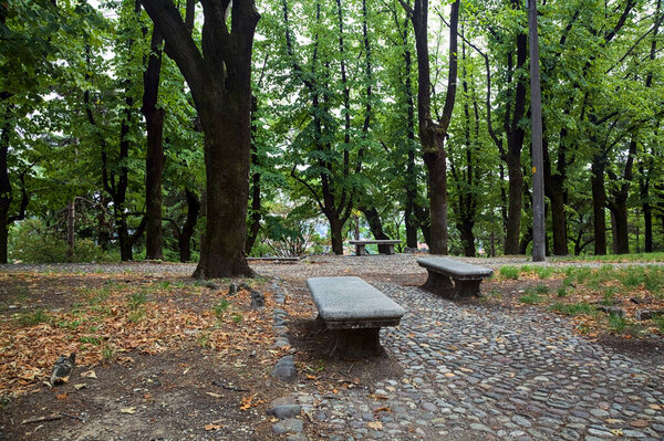 Paved path under the tree canopy of a park with stone benches by its edge on a cloudy day