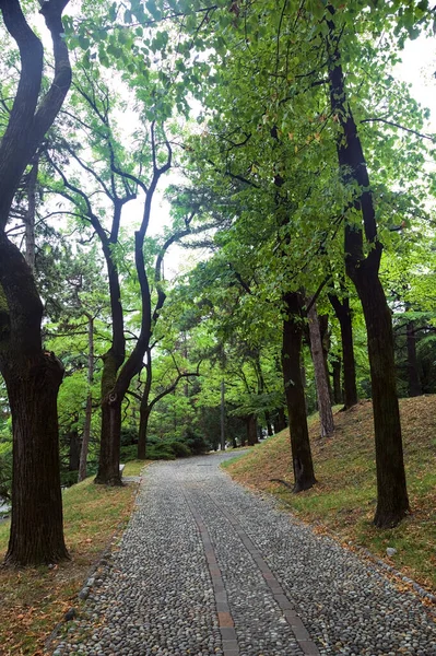 公園の天蓋の下の舗装された道 — ストック写真