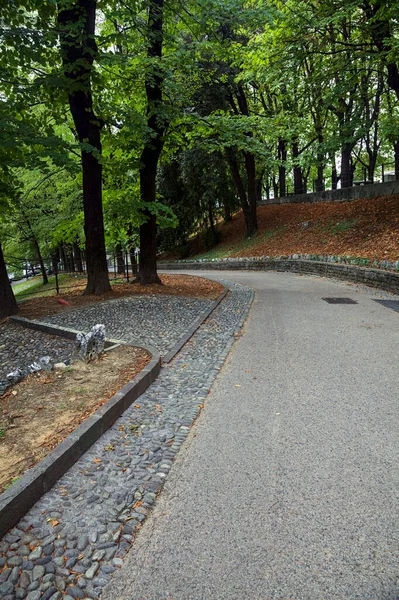 Descending paved path in a park forking with a stone staircase