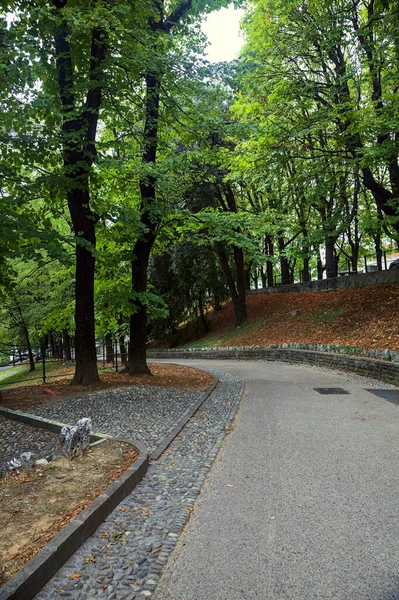 Gepflasterter Weg Einem Park Der Sich Mit Einer Steintreppe Gabelt — Stockfoto