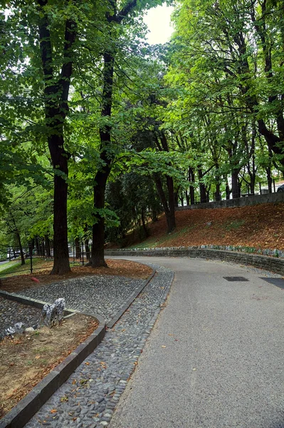 Aflopend Geplaveid Pad Een Park Met Een Stenen Trap — Stockfoto