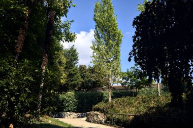 Parkta ağaçlarla çevrili bir patika.