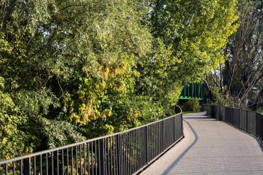Gün batımında bir gölün üzerindeki köprüde ağaçlar çerçevelenmiş.