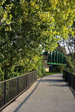 Gün batımında bir gölün üzerindeki köprüde ağaçlar çerçevelenmiş.