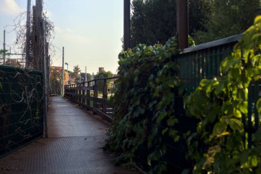 Tırabzanda büyüyen sarmaşıklarla dolu bir geçit.