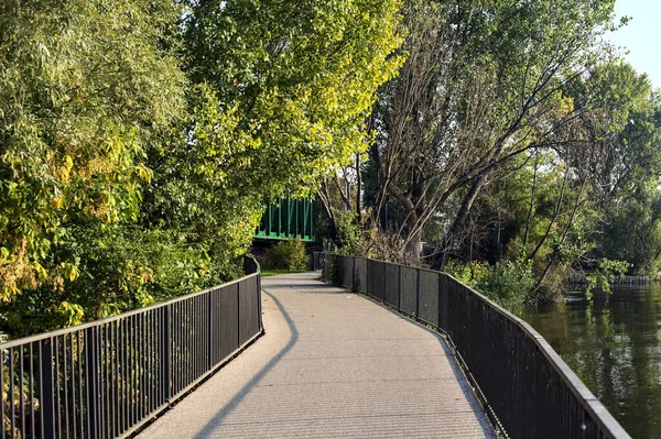 Мост Через Озеро Парке Закате Обрамлённый Деревьями — стоковое фото