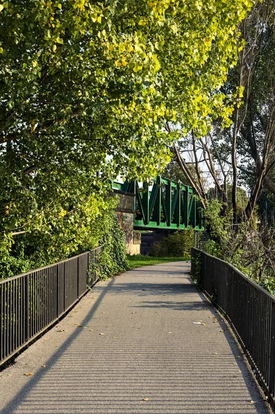 Híd Egy Felett Parkban Naplementekor Fákkal Bekeretezve — Stock Fotó