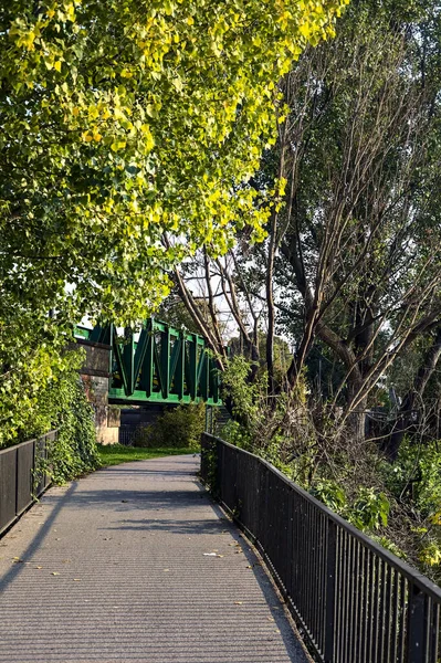 Puente Sobre Lago Parque Atardecer Enmarcado Por Árboles — Foto de Stock