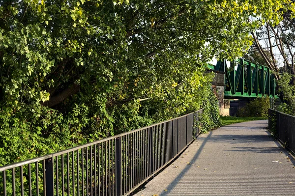 Мост Через Озеро Парке Закате Обрамлённый Деревьями — стоковое фото