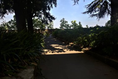 Gölgedeki patika, parkta bir çalılığın yanında.