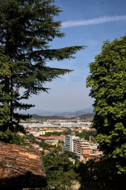 Gökyüzünden görünen şehir, güneşli bir günde ağaçlar ve çatılarla çevrili.