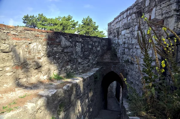 Escalera Piedra Que Pasa Bajo Arco Castillo —  Fotos de Stock
