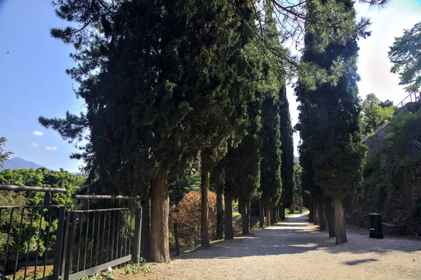 Gravel path in the shade bordered by cypresses in a park on a sunny day