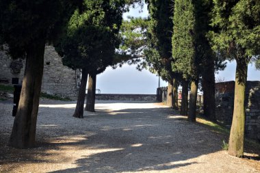 Güneşli bir günde, parkta selvi ağaçlarıyla çevrili gölgedeki çakıl yolu.