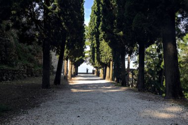Güneşli bir günde, parkta selvi ağaçlarıyla çevrili gölgedeki çakıl yolu.