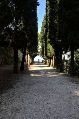 Güneşli bir günde, parkta selvi ağaçlarıyla çevrili gölgedeki çakıl yolu.