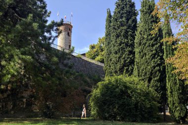 Ağaçlarla çevrili bir kulesi olan bir şatonun parkı.