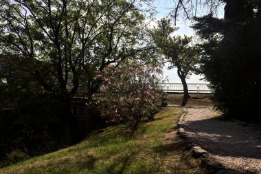 Ağaçların ve çalıların açtığı çakıl yolu parktaki bir yamacın yanında.