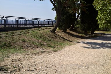 Parkta ağaçlarla kaplı bir teras.