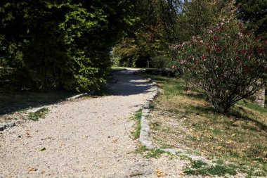 Parkta ağaçlarla çevrili bir patika.