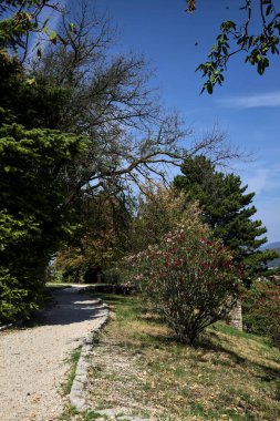 Ağaçların ve çalıların açtığı çakıl yolu parktaki bir yamacın yanında.
