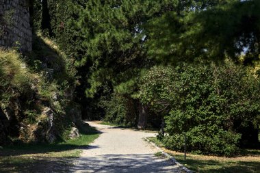 Güneşli bir günde şatonun bahçesinde çakıl patikası