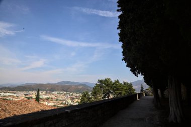 Gökyüzünden görünen şehir, güneşli bir günde ağaçlar ve çatılarla çevrili.