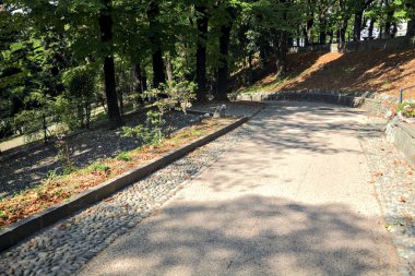 Bir parktaki ağaç tepe örtüsünün altında asfalt yol