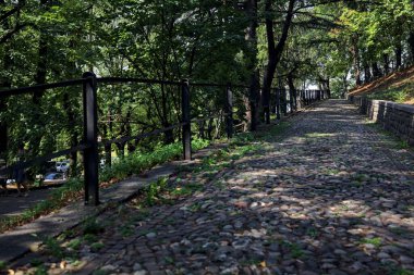 Bir parktaki ağaç tepe örtüsünün altında asfalt yol