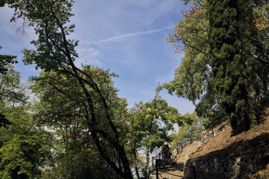 Parkın yamacındaki taş merdiven.