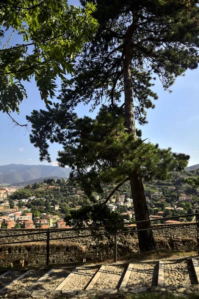 Cidade Vista Cima Emoldurada Por Árvores Telhados Num Dia Ensolarado — Fotografia de Stock