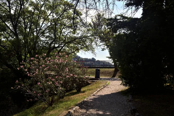 Schotterweg Mit Blühenden Bäumen Und Sträuchern Neben Einem Hang Einem — Stockfoto