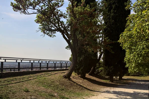 Terrace with trees above a city in a park