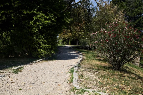 Sentiero Lastricato Con Alberi Suoi Margini Parco — Foto Stock