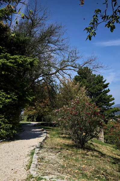 Chemin Gravier Avec Arbres Buissons Fleurs Côté Une Pente Dans — Photo