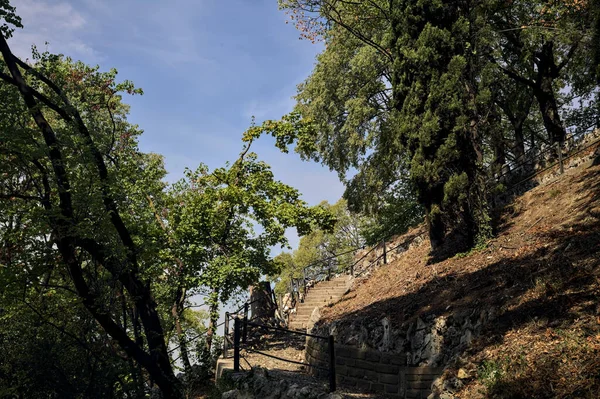 Escalera Piedra Borde Una Pendiente Parque — Foto de Stock