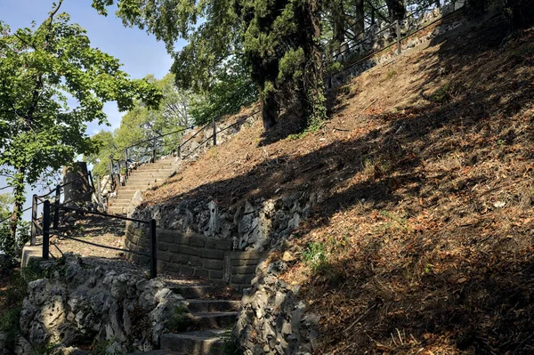 Stone staircase by the edge of a slope in a park