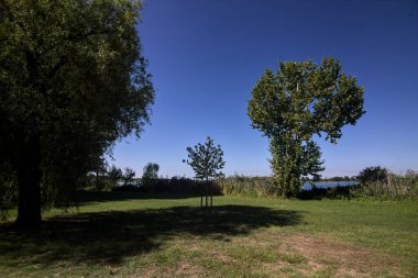 Gün batımında göl ağaçlarla çevrili ve kıyıdan görülüyor.