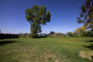 Gün batımında göl ağaçlarla çevrili ve kıyıdan görülüyor.