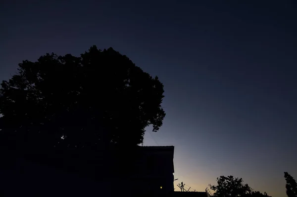 Zonsondergang Hemel Met Silhouet Van Bomen Een Muur — Stockfoto