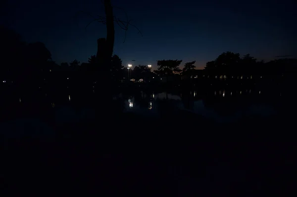 Masse Dans Une Crique Une Rivière Crépuscule — Photo